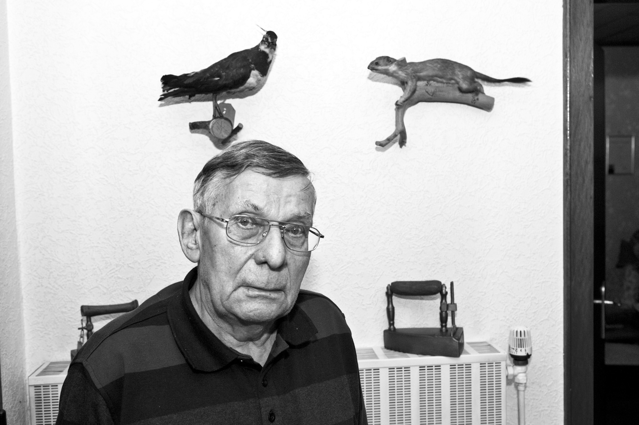 Johann Scheins